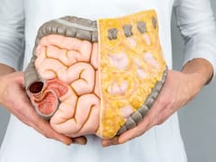 Expertos recomiendan la dieta perfecta para reducir el hígado graso y mejorar el sistema digestivo