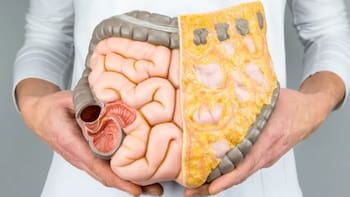 Expertos recomiendan la dieta perfecta para reducir el hígado graso y mejorar el sistema digestivo