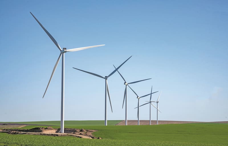 Parque eólico La Elbita de Genneia, la empresa de mayor capacidad instalada del país.