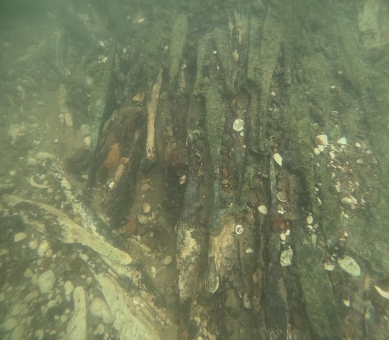 La importancia de este descubrimiento para la historia de Bosnia. (Fuente: Facebook - Muzej Franjevakog samostana Tolisa Vrata Bosne)