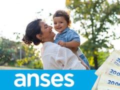 Qué pasará con la Tarjeta Alimentar: ANSES confirmó los montos en julio