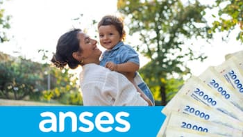 Qué pasará con la Tarjeta Alimentar: ANSES confirmó los montos en julio
