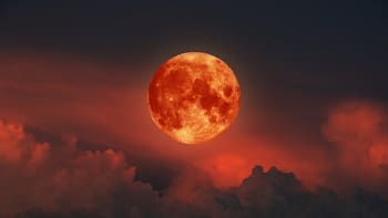Llega la Luna llena de agosto: cuándo y desde dónde se verá el fenómeno astronómico en el país
