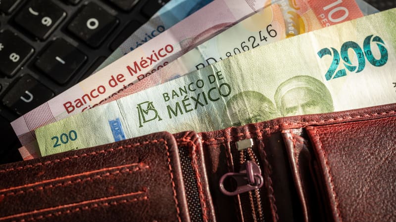 Fuente: shutterstock.
