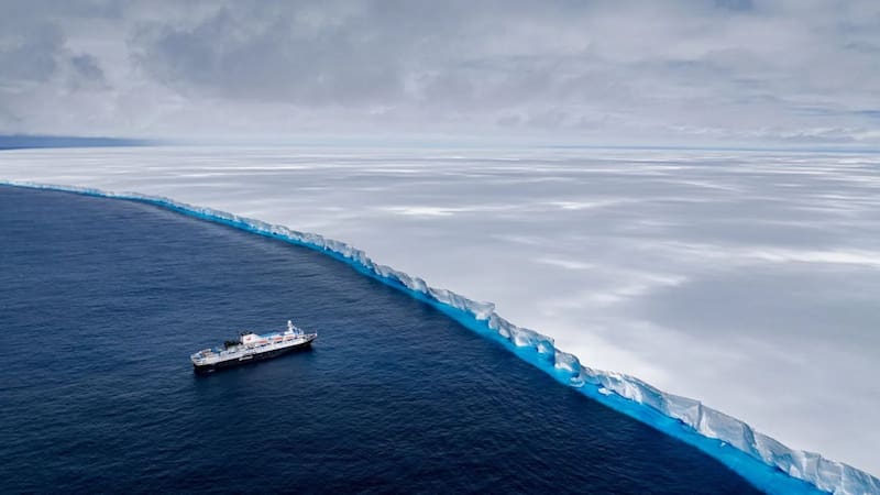 Descubrimiento del siglo | Hallan en la Antártida criaturas marinas nunca antes vistas que podrían reescribir la historia de la biología. (Imagen: National Geographic).