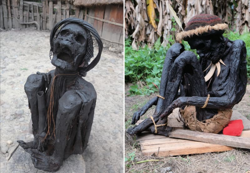 Momias conservadas en hogares privados de Papúa, Indonesia. (Fuente: Proceedings of the National Academy of Sciences).