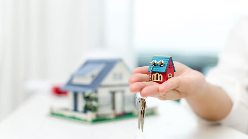 La AMPI confía en que 2026 traerá mejores resultados para el sector. (Fuente: Freepik)