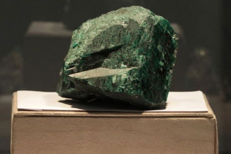 La esmeralda Fura ha paseado por exhibiciones y ferias de todo el mundo (Fuente: EFE).