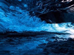 Hallazgo del siglo | Descubren en la Antártida nuevas especies de animales que emergen del océano más inexplorado del planeta