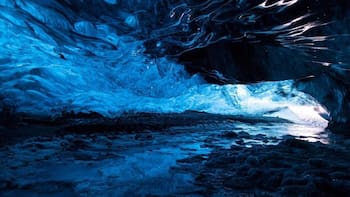 Hallazgo del siglo | Descubren en la Antártida nuevas especies de animales que emergen del océano más inexplorado del planeta