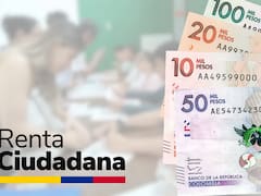 Renta Ciudadana: así puedes consultar por cédula si te corresponde el pago de Banco Agrario