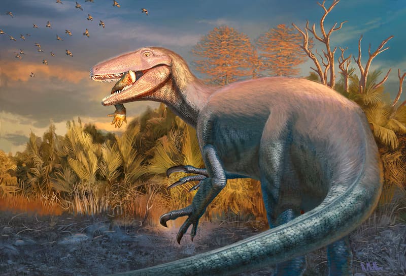 Reconstrucción de la vida del Joaquinraptor, basada en hallazgos recientes.
Trabajo liderado por Andrew McAfee, del Museo Carnegie de Historia Natural. (Fuente: Museo Carnegie)
