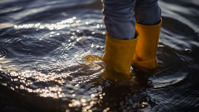 Meteorólogos advierten que llega la tormenta negra: se acercan inundaciones “catastróficas” en estas zonas del país