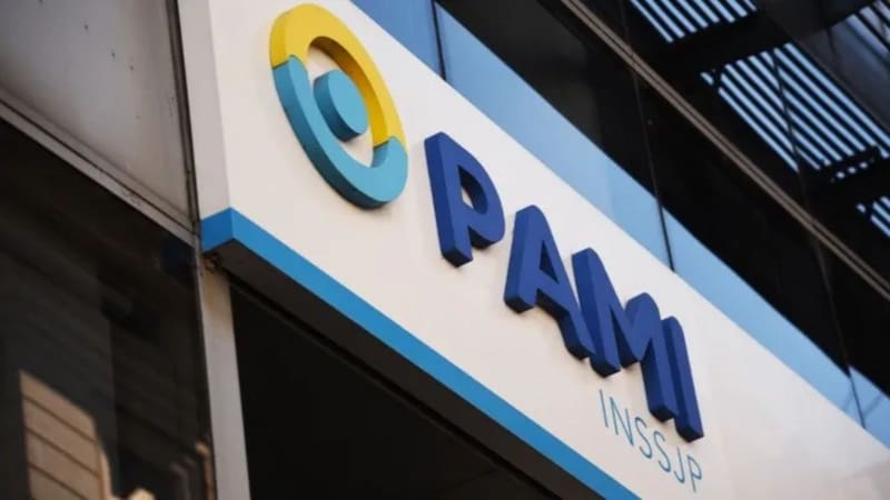 Fuente: PAMI
