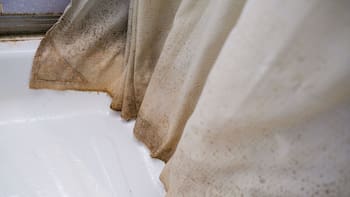 No es lavandina ni jabón: este es el ingrediente que debes usar para limpiar la cortina del baño y eliminar los hongos