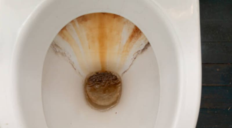 El ácido cítrico ejerce su acción disolvente sobre los depósitos minerales del sarro mediante su capacidad desincrustante natural. Foto: Archivo.