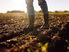 Cómo el libre comercio puede protegernos de El Niño