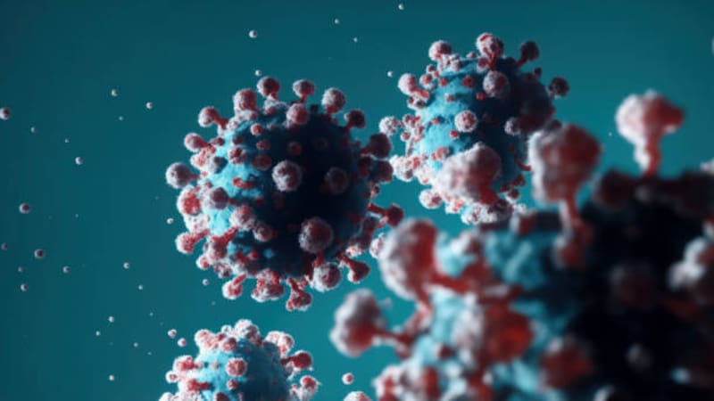 Conozca el hMPV: síntomas, transmisión y riesgos del metapneumovirus humano. Fuente: Shutterstock.