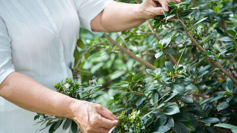 <div class="migrated-promo-image__description"><div class="migrated-promo-image__source">Fuente: Freepik</div></div>