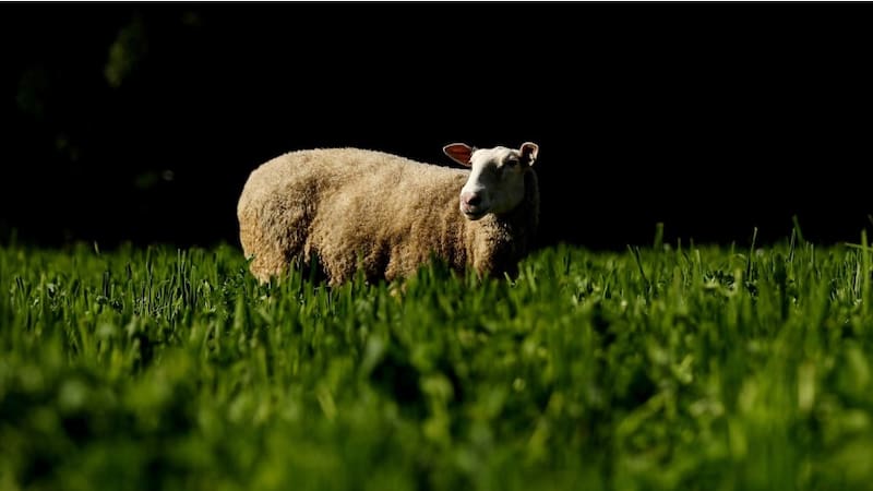 <div class="migrated-promo-image__description"><div class="migrated-promo-image__source">Fuente: Bloomberg</div></div>