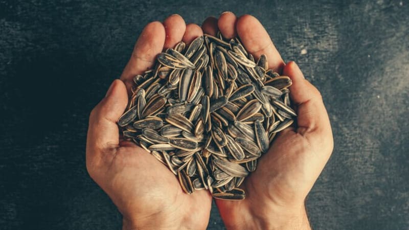 Consumir semillas regularmente mejora el bienestar general del cuerpo. (Foto: Freepik)