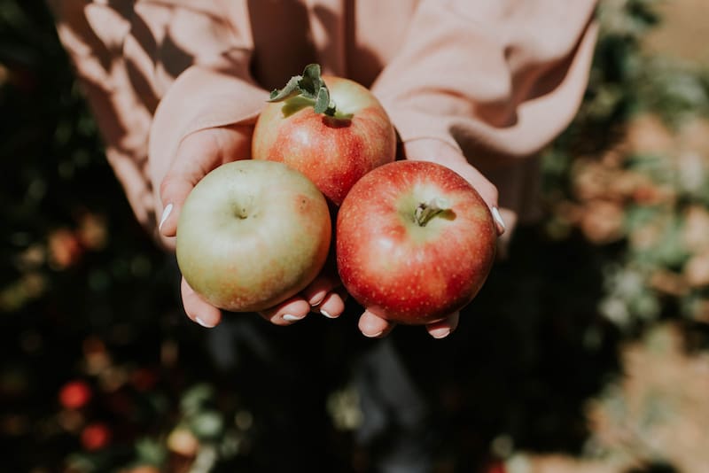 Las manzanas son una buena fuente de antioxidantes, que ayudan a proteger las células del daño. (Fuente: Unsplash)