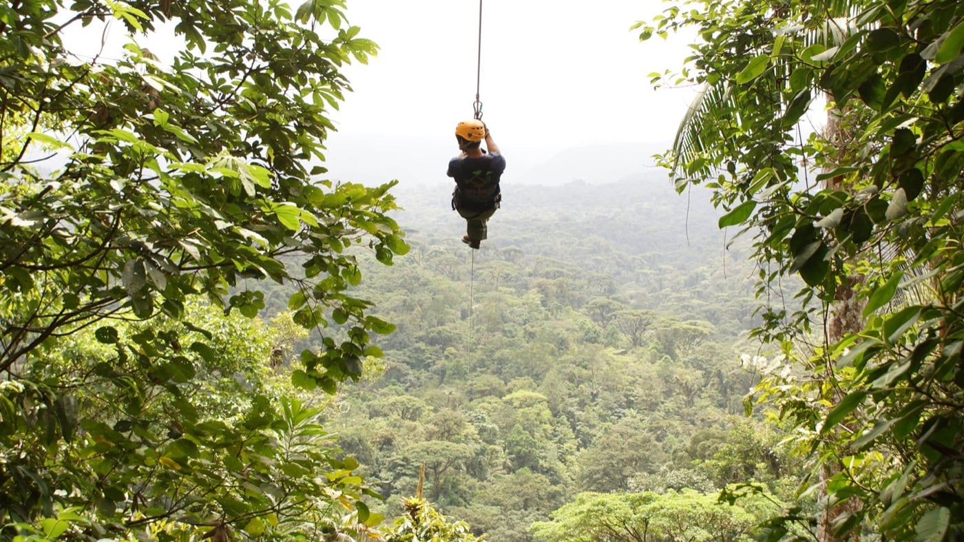 Canopy sobre el bosque