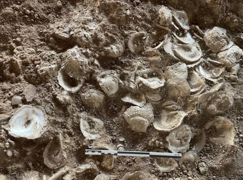 La revelación arqueológica del año que cambia la historia de la humanidad: hallan un tesoro romano "de lujo" de hace 1800 años.