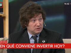 Por qué Milei no invertiría sus ahorros en un auto 0km