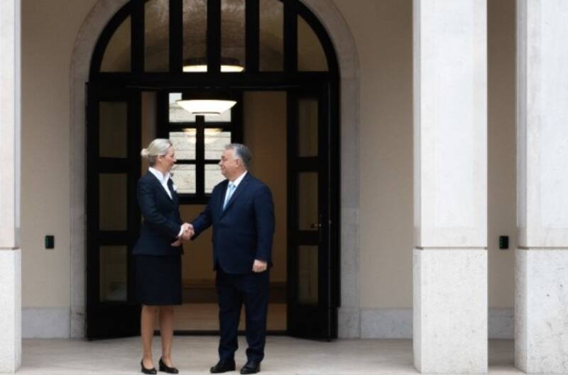 Alice Weidel, lider del partido de extrema derecha Alternativa para Alemania (AfD).