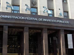 Reclaman a la Afip por cómo se cargan las declaraciones de los funcionarios