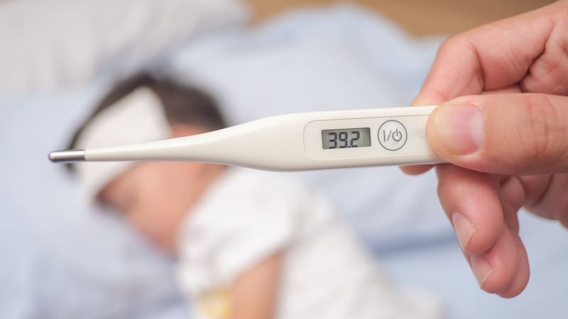 Alerta sanitaria | Advierten por la fiebre del Nilo: se registraron 22 casos y 4 muertes en el país