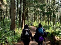 El hermoso pueblito a 1 hora de la CDMX que es muy parecido a los Alpes europeos y necesitas verlo una vez en tu vida