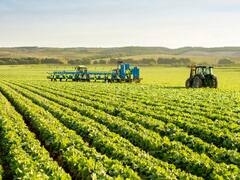Suba de precios agrícolas incentiva más el arrendamiento que la compra de campos