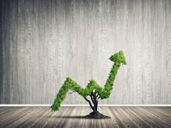 Giro verde para pymes y emprendedores: qué es y cómo puede ayudar a ganar más con menor impacto ambiental