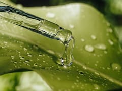 Mezclar aceite de hoja de té con agua: por qué recomiendan hacerlo y para qué sirve