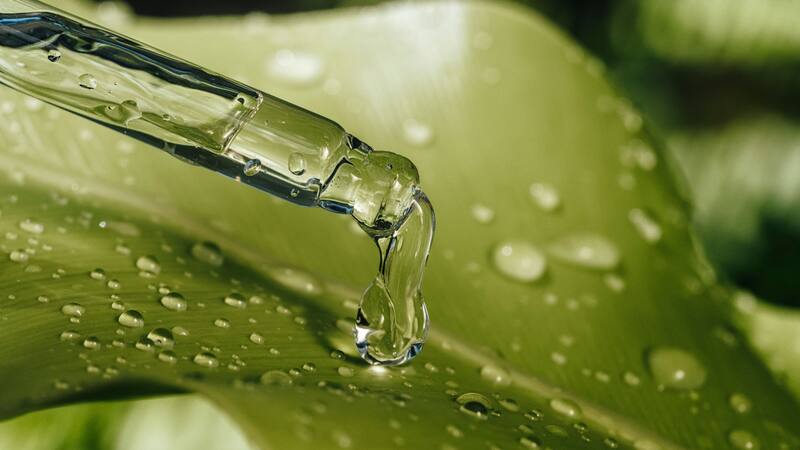 Mezclar aceite de hoja de té con agua: por qué recomiendan hacerlo y para qué sirve.