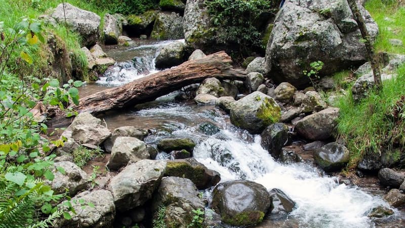 <div class="migrated-promo-image__description"><div class="migrated-promo-image__source">Fuente: Instagram Mineral del Chico</div></div>