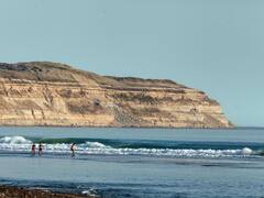 Qué es el carbono azul y por qué es una gran oportunidad