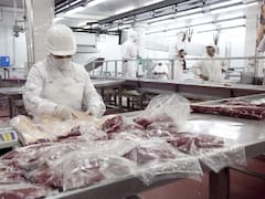 Marfrig invierte u$s 25 millones para aumentar su capacidad en un 50%