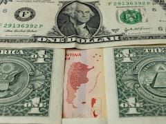 Dólares y deuda: cumplir con los pagos requerirá de préstamos hasta consolidar el crecimiento