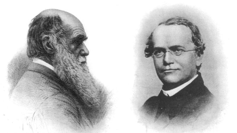 Gregor Mendel fue crucial en el origen de la genética moderna.