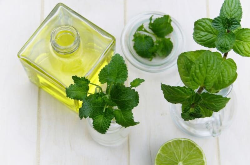 Esta hierba antioxidantes que alivia el dolor de estómago y mejora la concentración