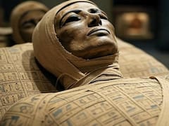 Sorprendente hallazgo: revelan datos inéditos sobre el origen del ritual de la momificación