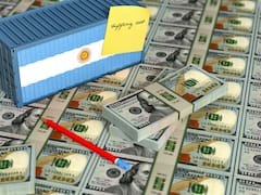 El FMI alertó por la deuda importadora: los dólares disponibles para el resto del año