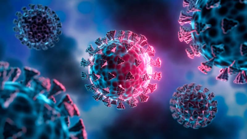 Fin del misterio: estudio descubre cuál es el origen del Covid y activa las alarmas a nivel mundial.