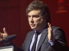 Milei rompió el silencio tras la marcha antifascista: "Me apena que los hayan usado"