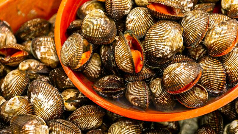 <div class="migrated-promo-image__description"><div class="migrated-promo-image__source">Fuente: Shutterstock</div></div>