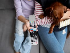 Mascotas en peligro: estas razas de perros serán prohibidas en 2025