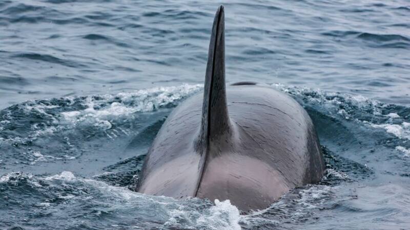 <div class="migrated-promo-image__description"><div class="migrated-promo-image__source">Fuente: Freepik</div></div>